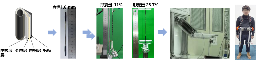 高能量密度电活性聚合物人工肌肉 - 与华为合作